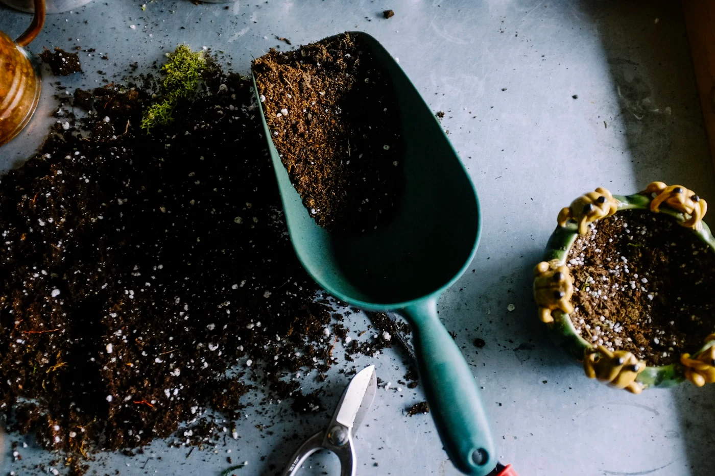 Growing a shared rhythm illustrative photography