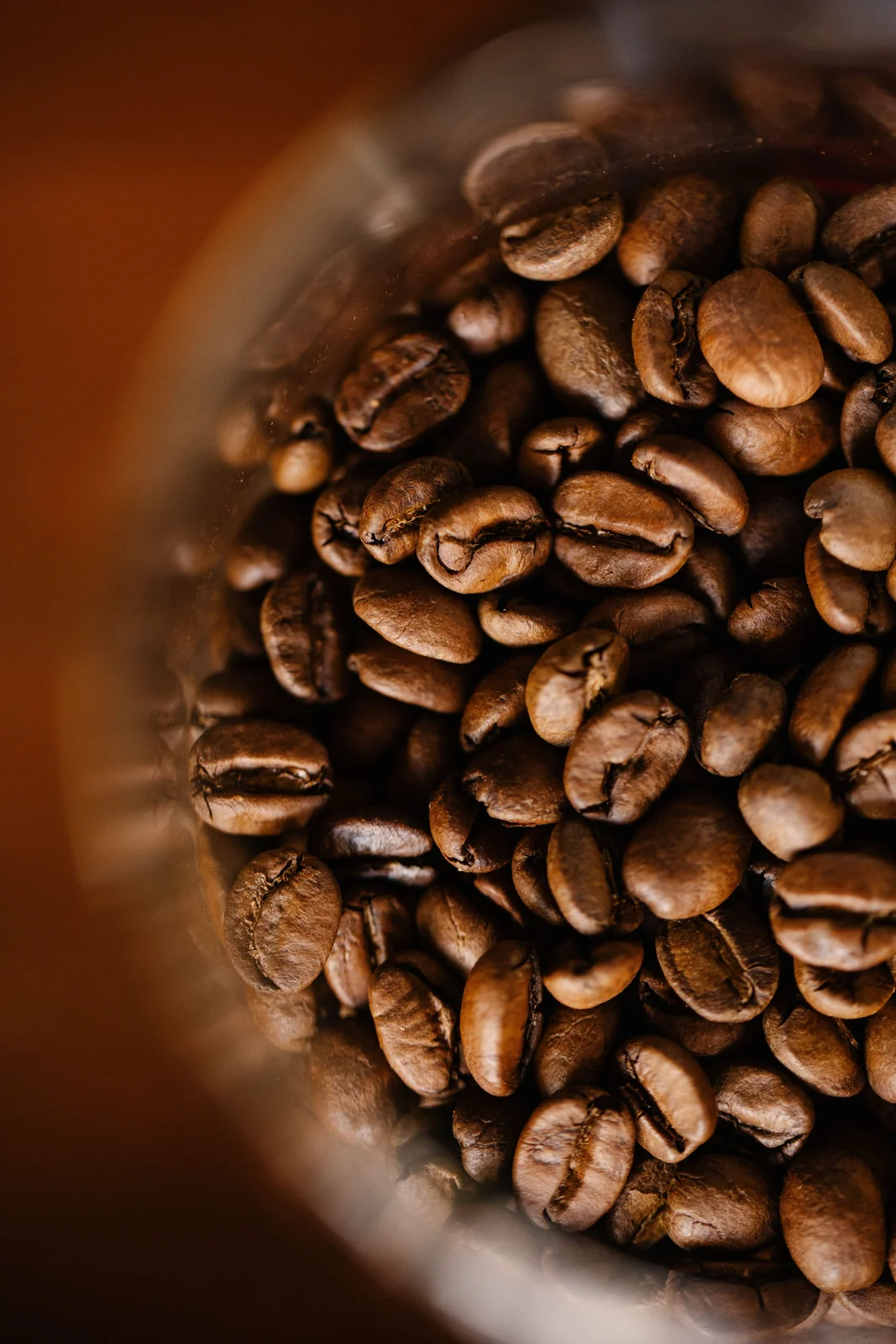 specialty coffee: complementary visual study