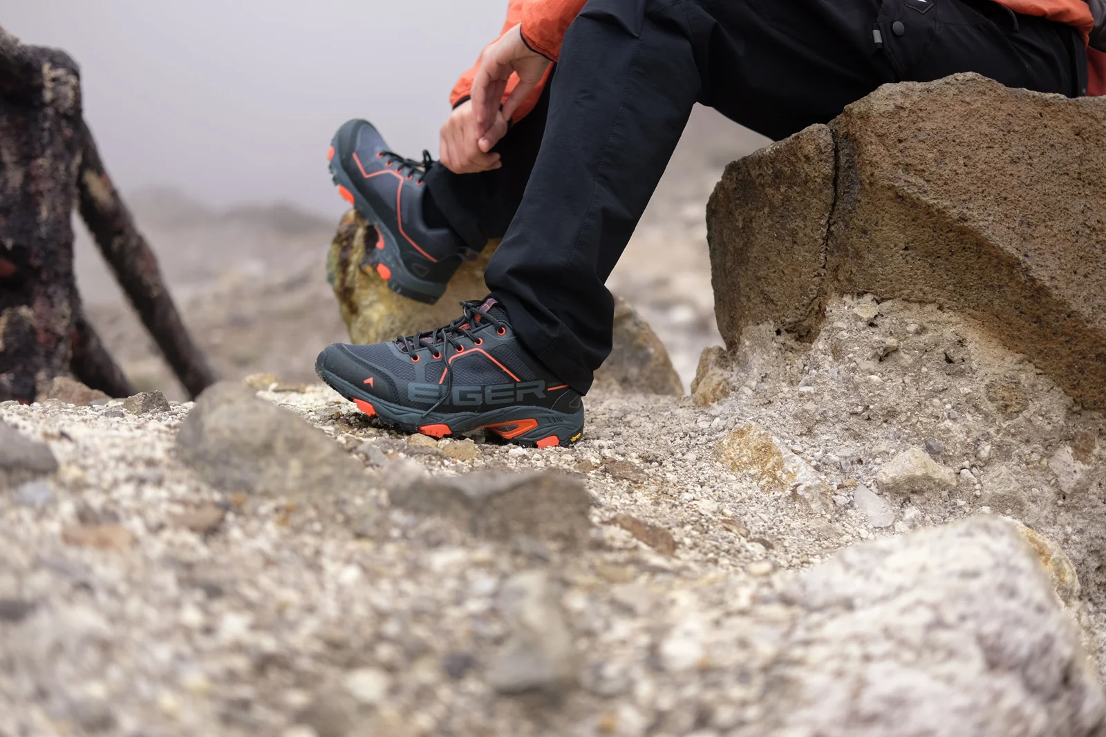 alpine expedition: complementary visual study