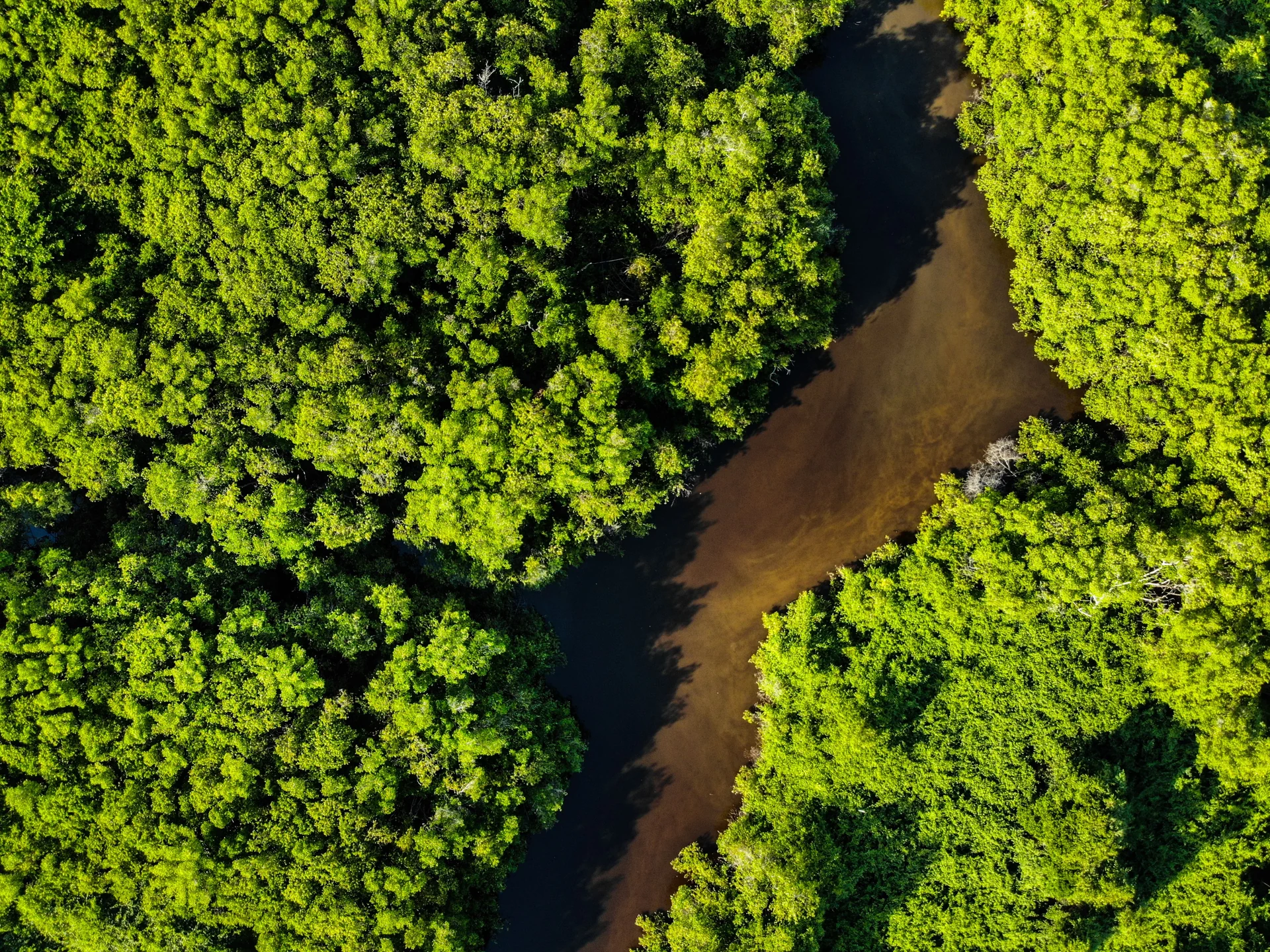 nature conservation photograph for REWILD