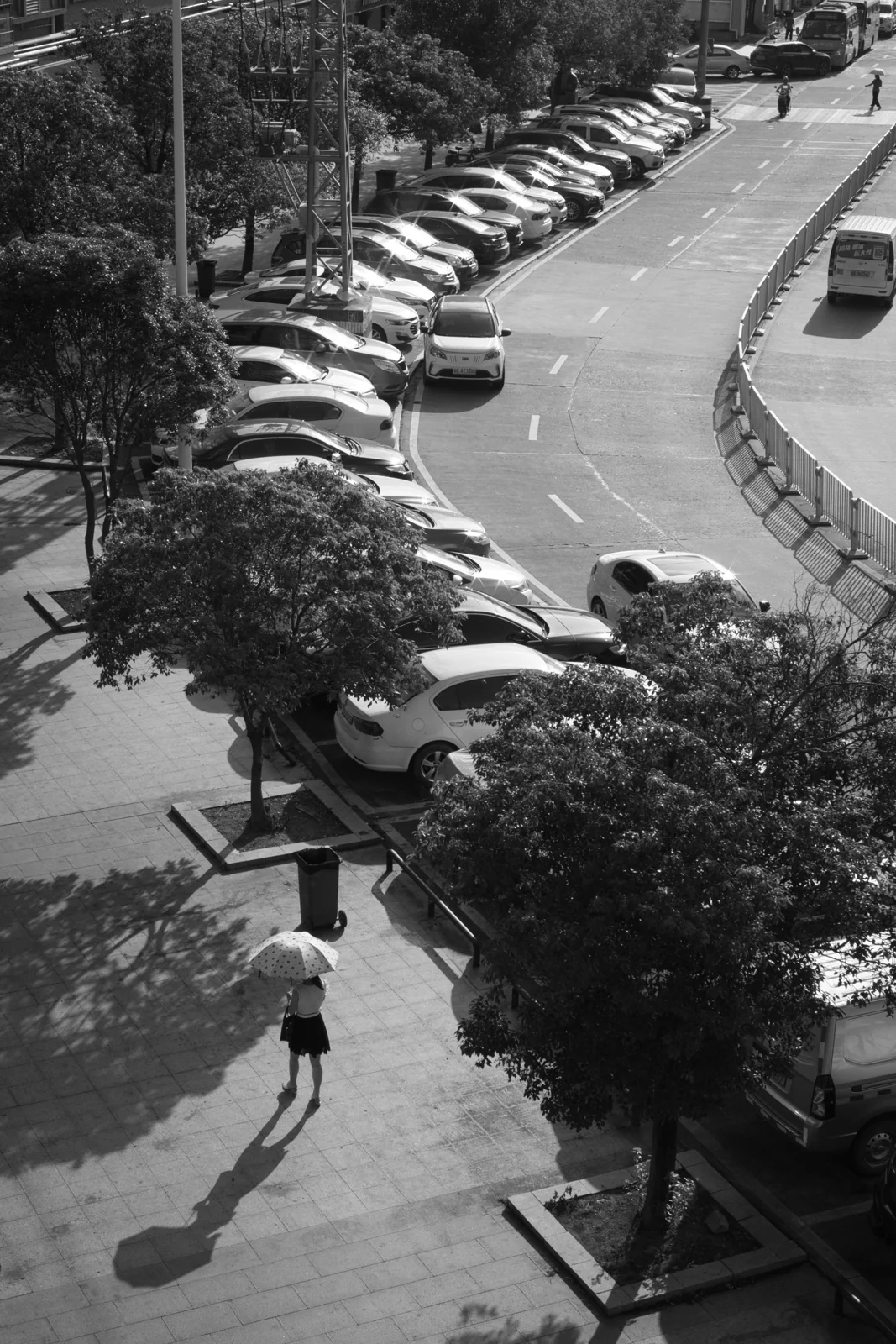 photography portfolio: complementary visual study